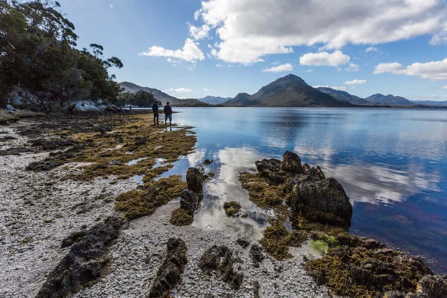 Hobart: Fly & Cruise in Southwest Wilderness Area with Lunch - Short walks that actually add value (without turning into a hike day)