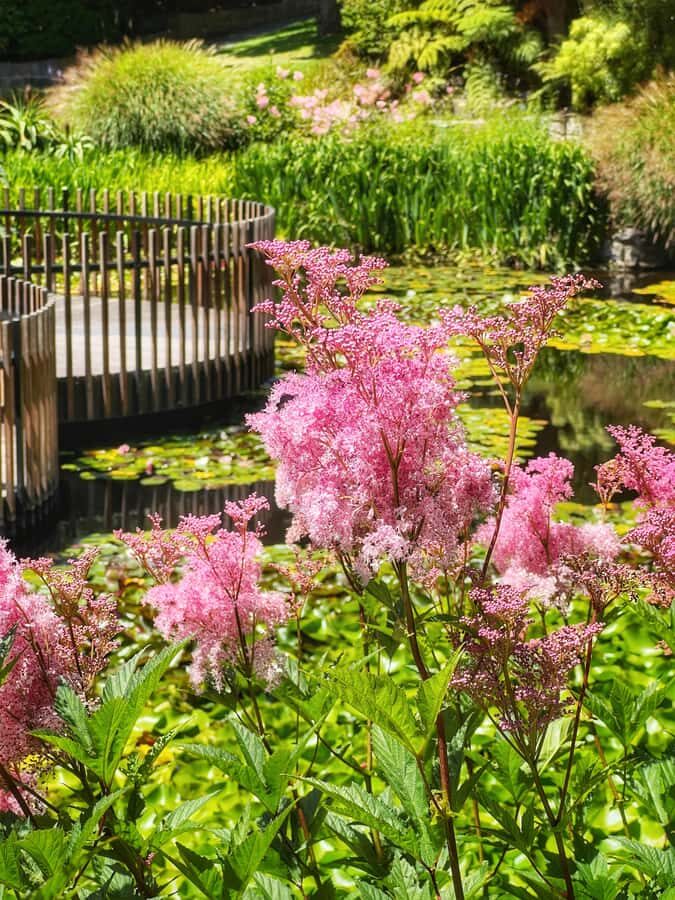 Hobart: Full-Day Bonorong Wildlife Sanctuary & Richmond Tour - Rosny Hill views and the value of live narration