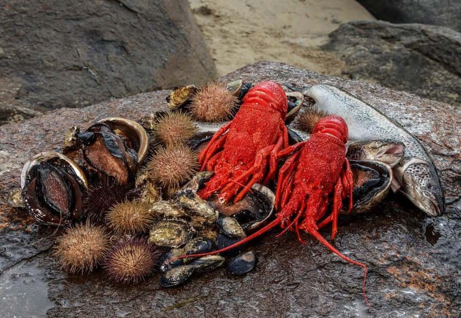 Hobart: Full-Day Tasmania Gourmet Seafood Cruise - From Franklin Wharf out on the Derwent: the day’s rhythm