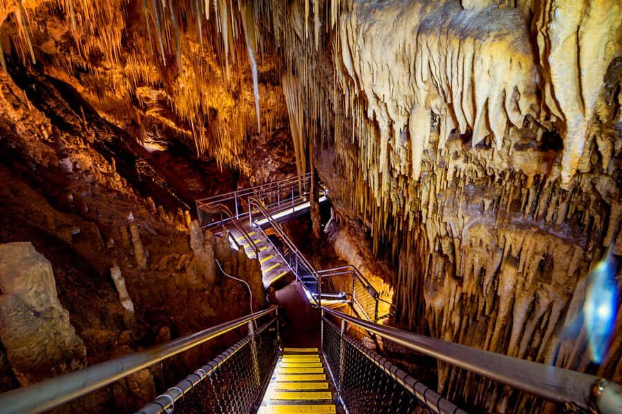 Hobart: Hastings Cave, Tahune Airwalk and Huon Tasting Trail - Hobart to the Huon Valley: a road trip with apple-country context