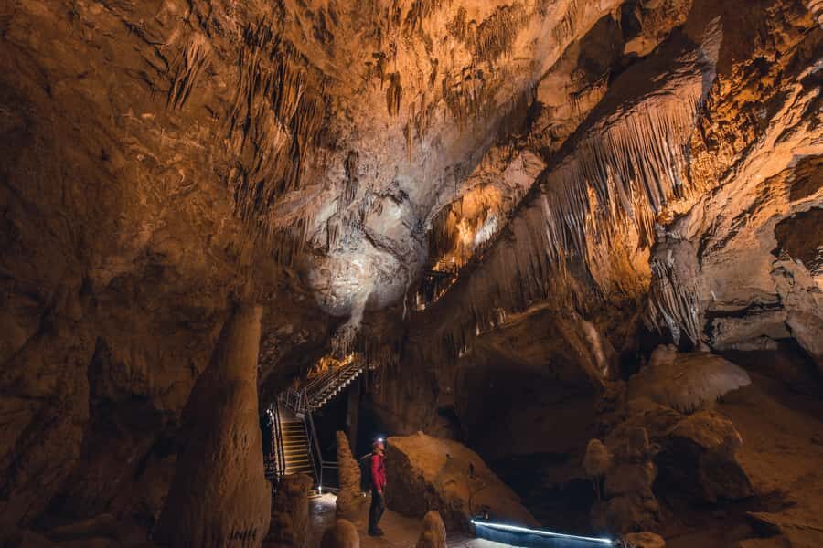 Hobart: Hastings Cave, Tahune Airwalk and Huon Tasting Trail - Getting the most out of Tahune and Hastings in one day
