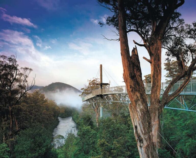 Hobart: Hastings Cave, Tahune Airwalk and Huon Tasting Trail - Tahune Airwalk: choose your adventure, from 50 metres up to the riverbank