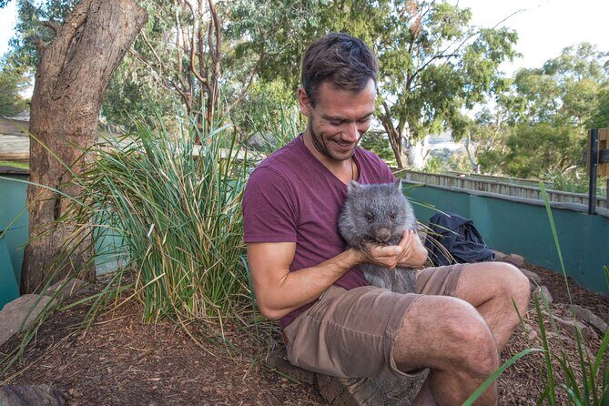 Hobart Highlights Day Tour - Key things that make this day tour worth it