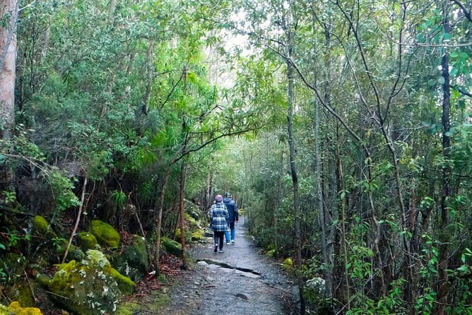 Hobart Hop-On Hop-Off Bus & kunanyi/Mt Wellington Tour - Who this tour fits best (and who should tweak the plan)