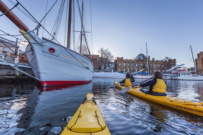 Hobart Kayak Tour - Choosing your paddle: 2.5 hours in town or 7/10 hours outside Hobart