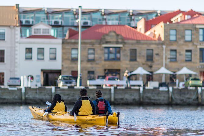 Hobart Kayak Tour - The 10-hour Tasman Peninsula option: wildlife plus a tougher day