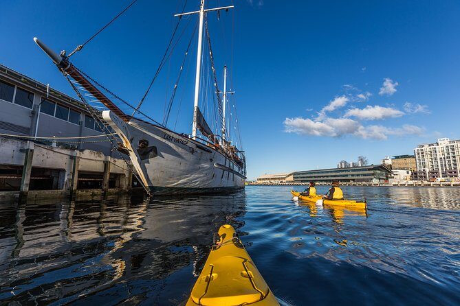 Hobart Kayak Tour - Gear, guidance, and group size: why beginners don’t feel lost
