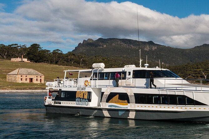 Hobart: Maria Island National Park - Nature & Wildlife Adventure - Triabunna: your pre-island reset and snack odds