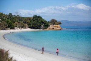 Hobart: Maria Island National Park - Nature & Wildlife Adventure - Maria Island National Park: wildlife watching with a “slow down” guide