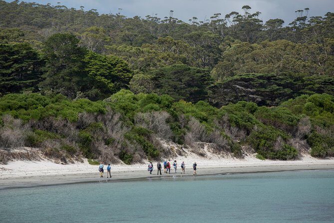 Hobart: Maria Island National Park - Nature & Wildlife Adventure - Price and value: what you’re really paying for at $154.21