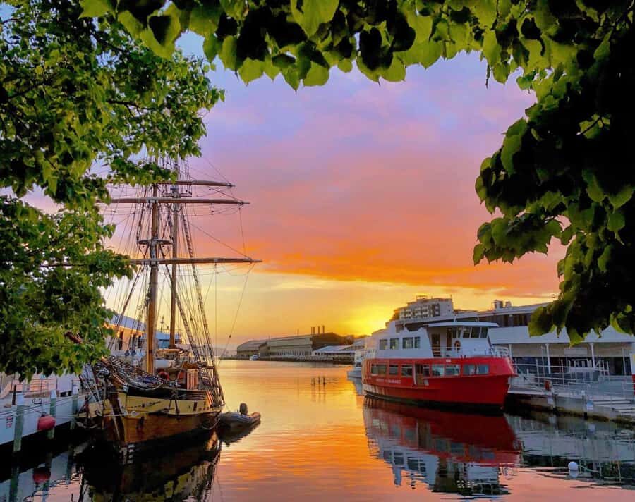 Hobart: Morning River Cruise - Up the Derwent: Botanical Gardens and Government House Views