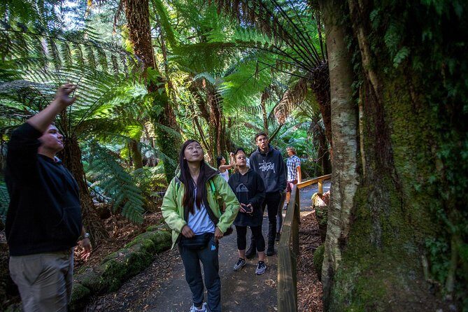 Hobart: Mt. Field, Mt Wellington & Wildlife - Active Day Tour - Mt Wellington (Kunanyi): how to make summit time count