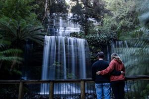 Hobart: Mt Field National Park & Wildlife Shore Excursion - Getting to Mount Field National Park: Short Trip, Big Feel
