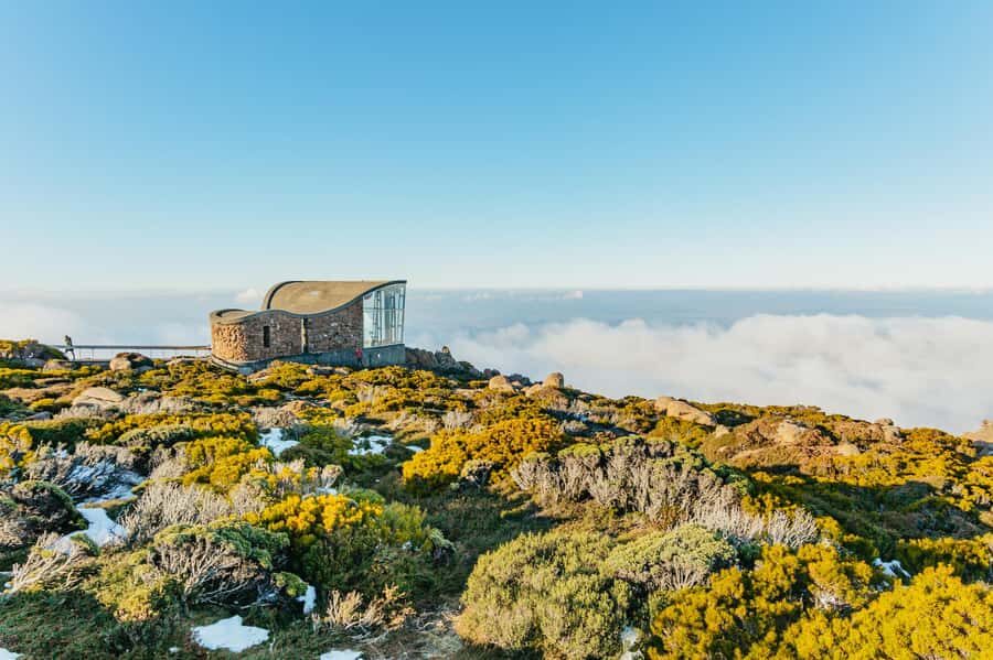 Hobart: Mt Wellington, Mt Field, Bonorong and Richmond Trip - What I’d call the key wins