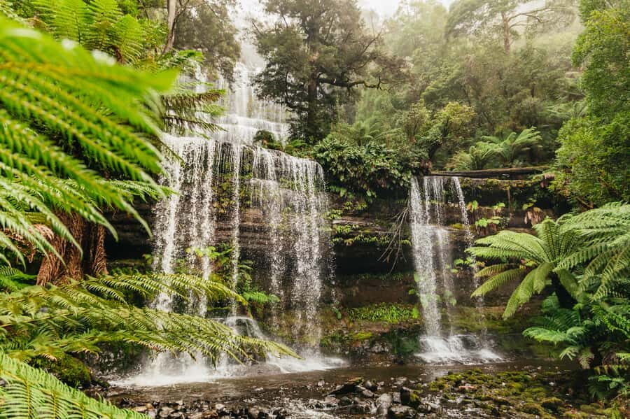 Hobart: Mt Wellington, Mt Field, Bonorong and Richmond Trip - How this Hobart day trip fits together