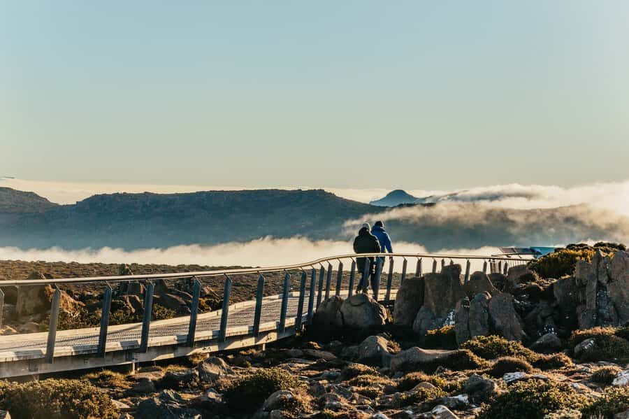 Hobart: Mt Wellington, Mt Field, Bonorong and Richmond Trip - Mt Field National Park: Russell Falls and the tall-tree walk