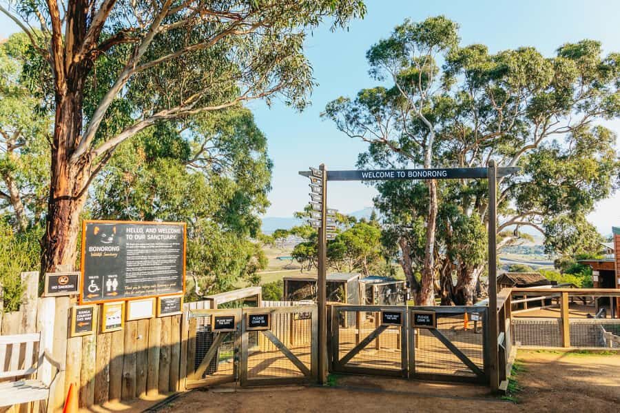 Hobart: Mt Wellington, Mt Field, Bonorong and Richmond Trip - Price and value: what you’re really paying for at $126