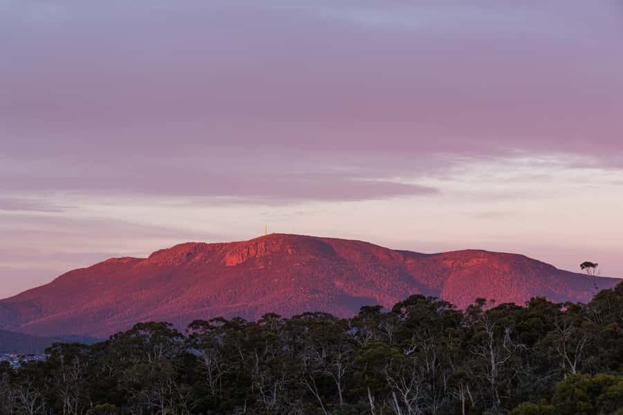 Hobart: nipaluna Half-Day Highlights Tour - Who This Tour Fits Best (and Who Should Skip It)
