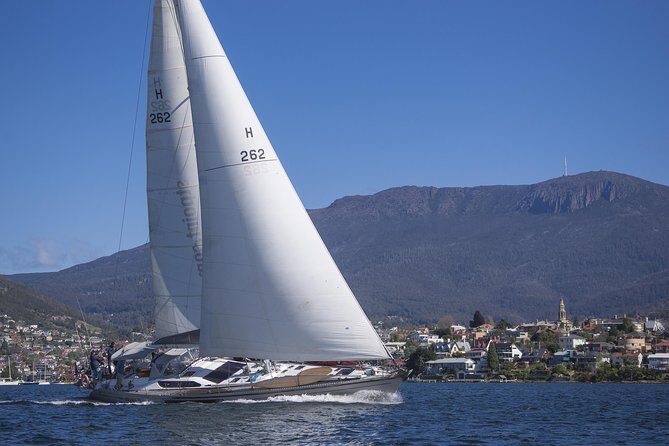 Hobart Sailing Experience - Steering, winches, and learning to read the water (without exams)