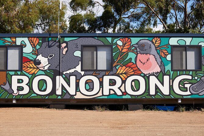 Hobart Shore Excursion: Bonorong Bus - Why This Hobart Shore Excursion Works for Cruise Timelines
