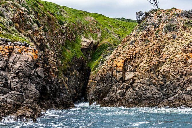 Hobart Sightseeing Cruise including Iron Pot Lighthouse - Key things to know before you go