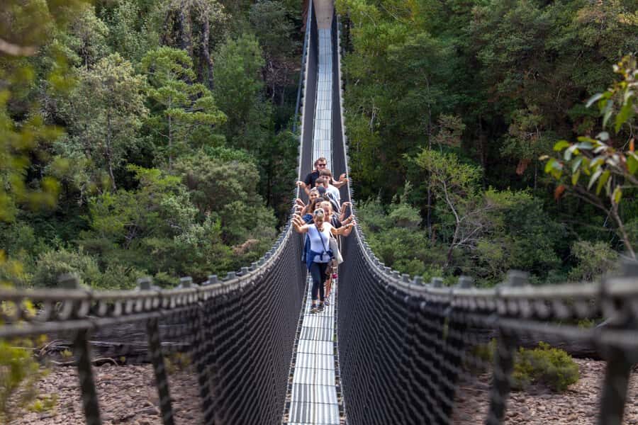 Hobart: Tahune Airwalk, Hastings Cave, Thermal Springs Tour - From Hobart to the Huon Valley: a day planned around real terrain