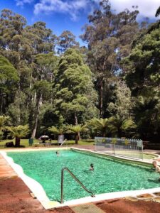 Hobart: Tahune Airwalk, Hastings Cave, Thermal Springs Tour - Tahune Airwalk: what it feels like to walk 50m over the Huon River