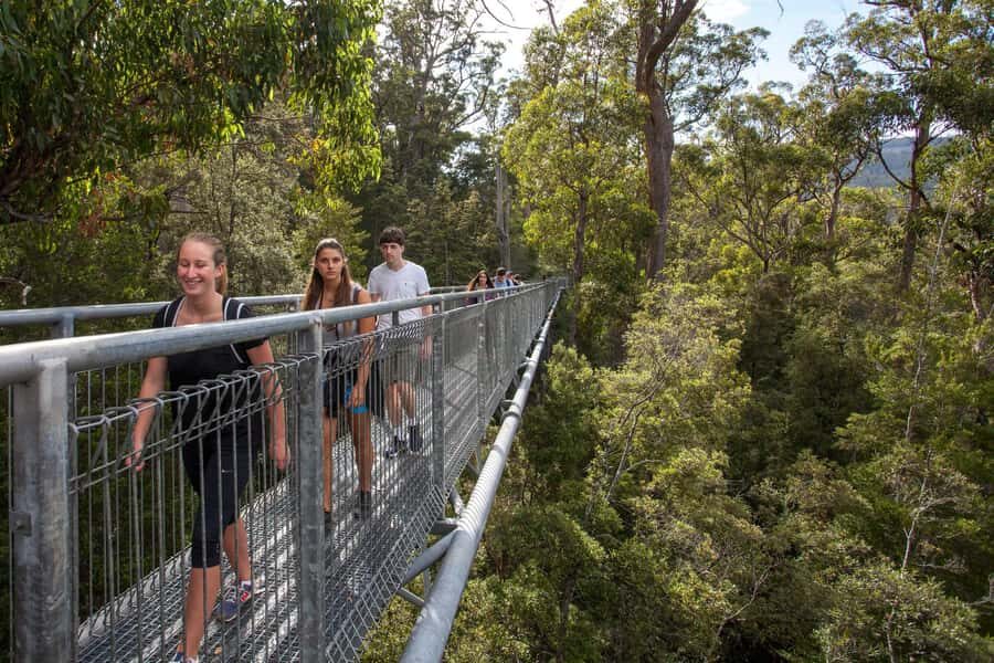Hobart: Tahune Airwalk, Hastings Cave, Thermal Springs Tour - Thermal Springs at Hastings: 28°C water, nature trail, and platypus chances