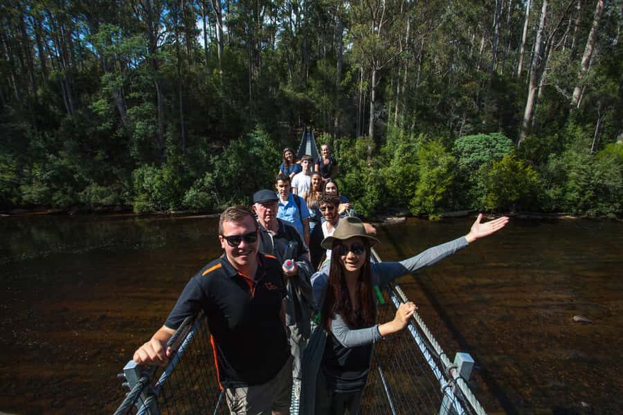 Hobart: Tahune Airwalk, Hastings Cave, Thermal Springs Tour - Timing, group size, and the reality of a long active day
