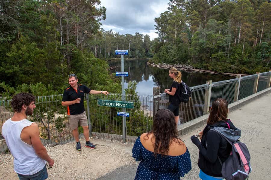 Hobart: Tahune Airwalk, Hastings Cave, Thermal Springs Tour - Should you book Hobart’s Tahune Airwalk and Hastings Caves day trip?