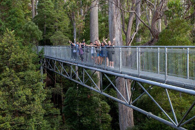 Hobart: Tahune Airwalk, Hastings Caves & Thermal Springs Pool - Drive time around Huonville: snacks, fruit culture, and small detours