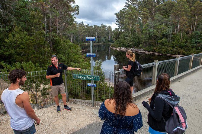Hobart: Tahune Airwalk, Hastings Caves & Thermal Springs Pool - Guides and group size: why it can feel personal