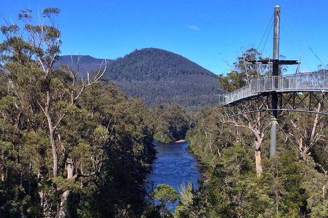 Hobart: Tahune Airwalk, Hastings Caves & Thermal Springs Pool - Price and value: is it worth about $147?
