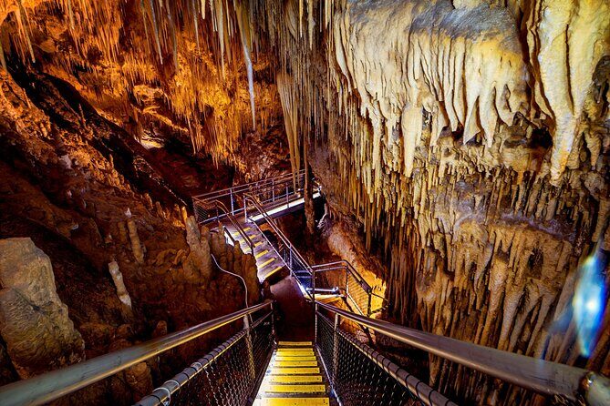 Hobart: Tahune Airwalk, Hastings Caves & Thermal Springs Pool - Morning pickup and the Huon Valley drive (where the day’s theme starts)