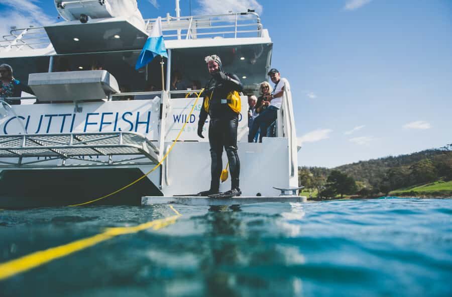 Hobart: Ultimate Seafood Cruise on a Spacious Catamaran - Key highlights worth knowing