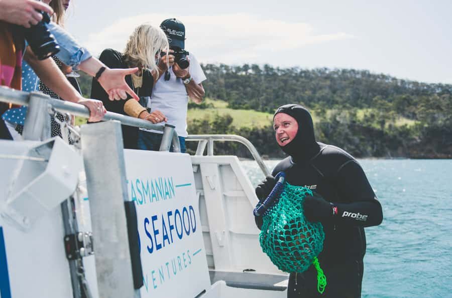 Hobart: Ultimate Seafood Cruise on a Spacious Catamaran - Hobart departure: finding Cuttlefish fast