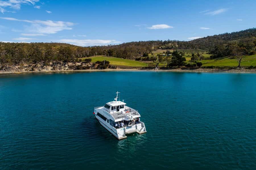 Hobart: Ultimate Seafood Cruise on a Spacious Catamaran - The catamaran Cuttlefish: comfort that helps you actually enjoy it