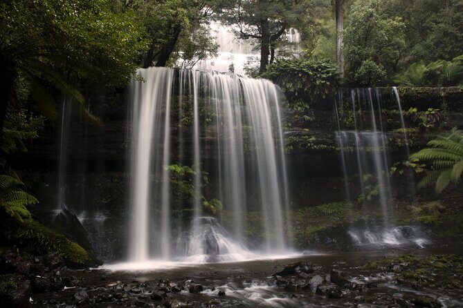 Hobart: Waterfalls, Wilderness & Wildlife - Active Day Tour - Value and the real promise of this $132.69 day tour