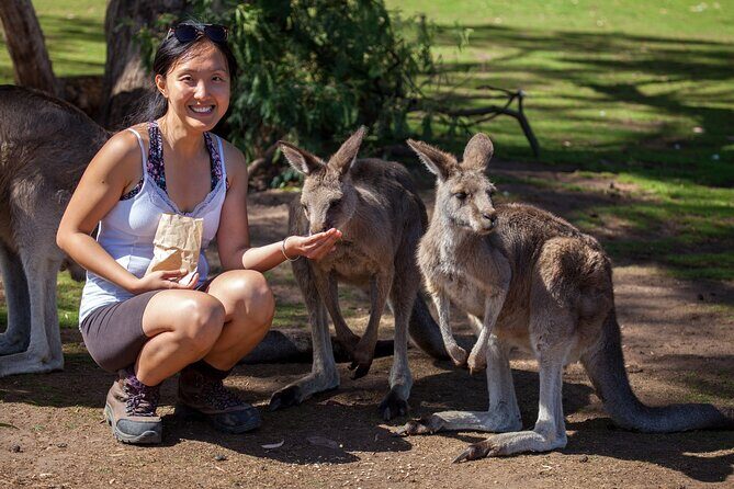 Hobart: Waterfalls, Wilderness & Wildlife - Active Day Tour - Mount Field National Park: giant trees and a real sense of Tasmania