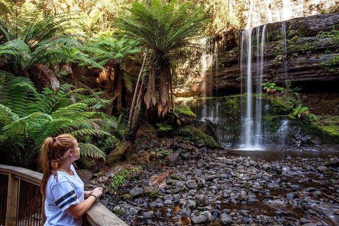 Hobart: Waterfalls, Wilderness & Wildlife - Active Day Tour - What to pack, and how fit you need to be