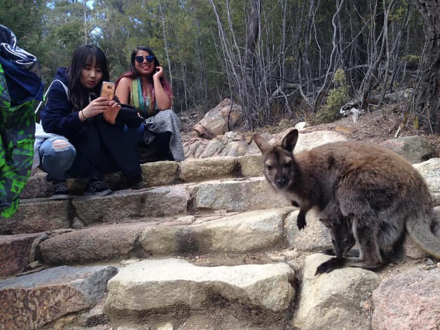 Hobart: Wineglass Bay & Freycinet National Park Active Tour - Sleepy Bay: A Quick Coastline Moment If Time Permits
