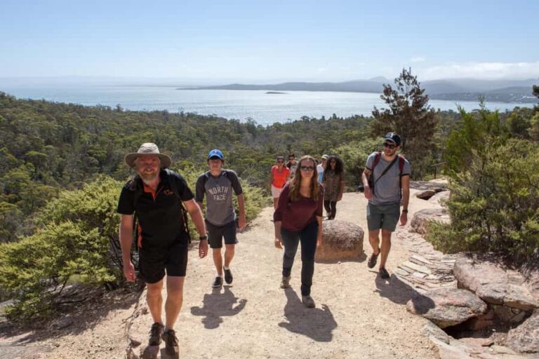 Hobart: Wineglass Bay & Freycinet National Park Active Tour - The Wineglass Bay Lookout Hike: Moderate Effort, Big Reward