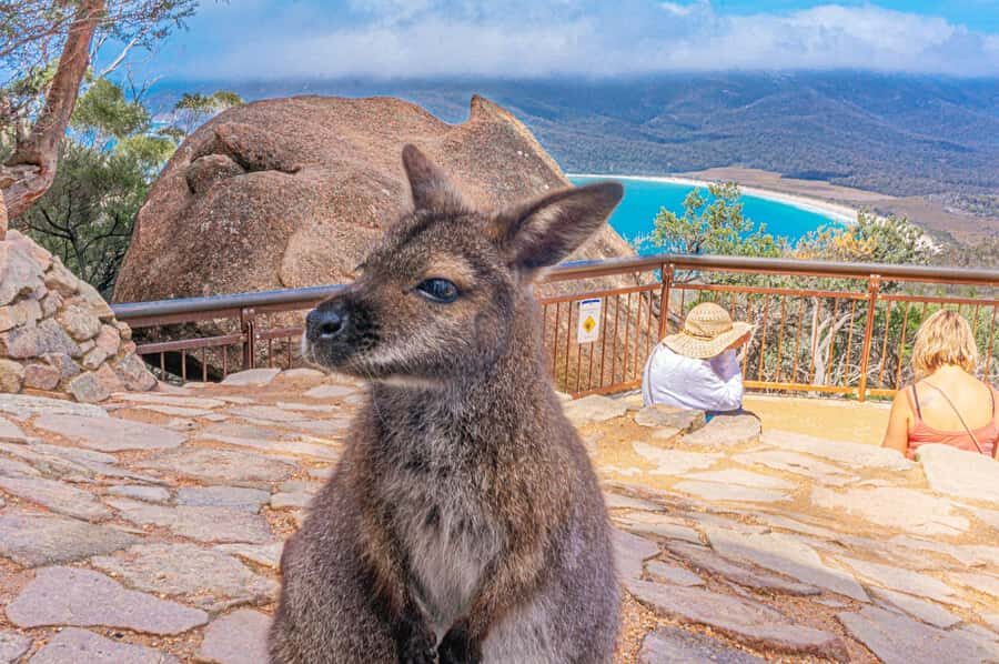 Hobart: Wineglass Bay, Freycinet Park, and Richmond Tour - Key highlights at a glance