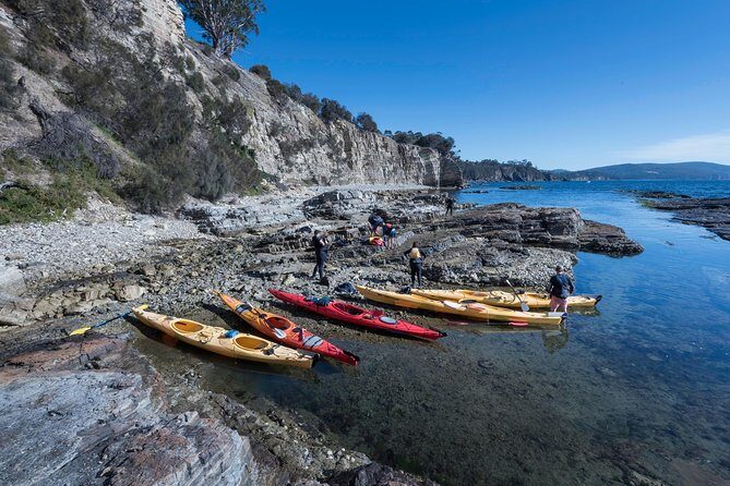 Hobart's Cliffs, Caves and Beaches Kayak Tour - Navigating Without Stress: Let the Guide Choose the Lines