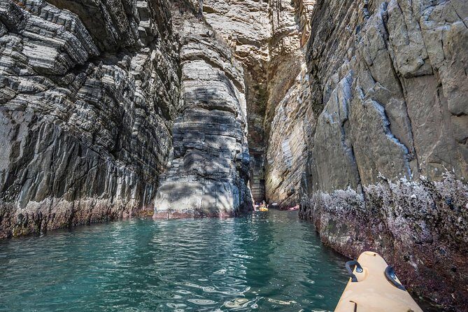 Hobart's Cliffs, Caves and Beaches Kayak Tour - Wildlife and Caves: What You Might See in the Tinderbox Marine Reserve