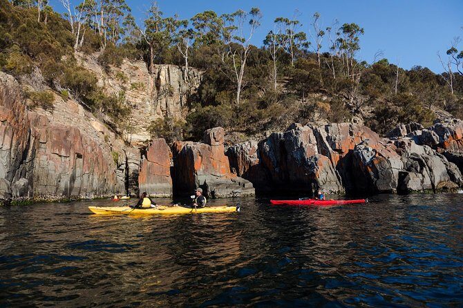 Hobart's Cliffs, Caves and Beaches Kayak Tour - Lunch on a Tasmanian Beach: Local Food With a Real Break