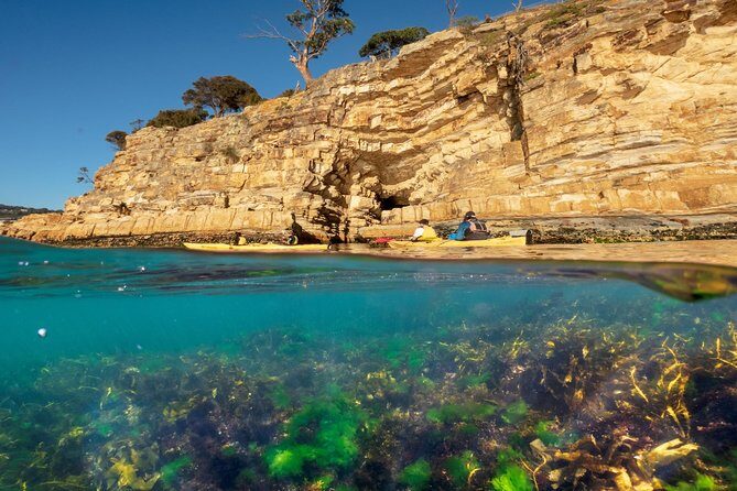 Hobart's Cliffs, Caves and Beaches Kayak Tour - Fitness Level and Age Range: Who This Tour Fits Best