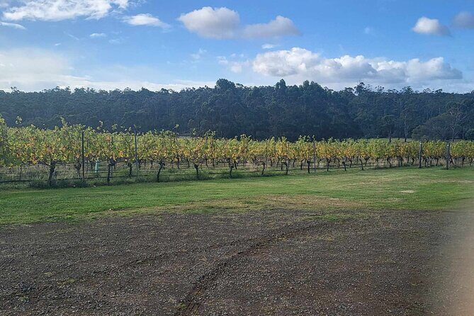 Huon Valley Wine and Cider Tour - Hobart and SE Tasmania - Price and value: what $179.31 really covers