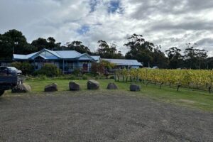 Huon Valley Wine and Cider Tour - Hobart and SE Tasmania - Hobart pickup at 9:30 and the scenic ride south
