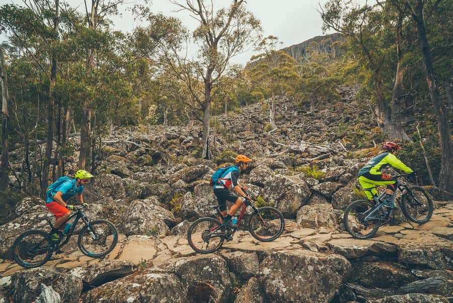 Kunanyi & Mt Wellington Explorer Bus: One-Way Bus Pass - Onboard Comfort: Wi-Fi and the Small Things